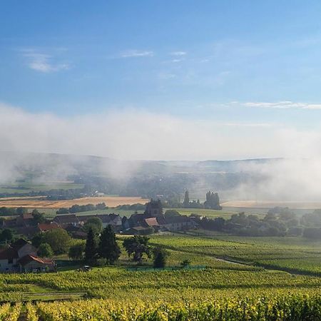 Le Coq De Champagne Villa Dormans Eksteriør billede