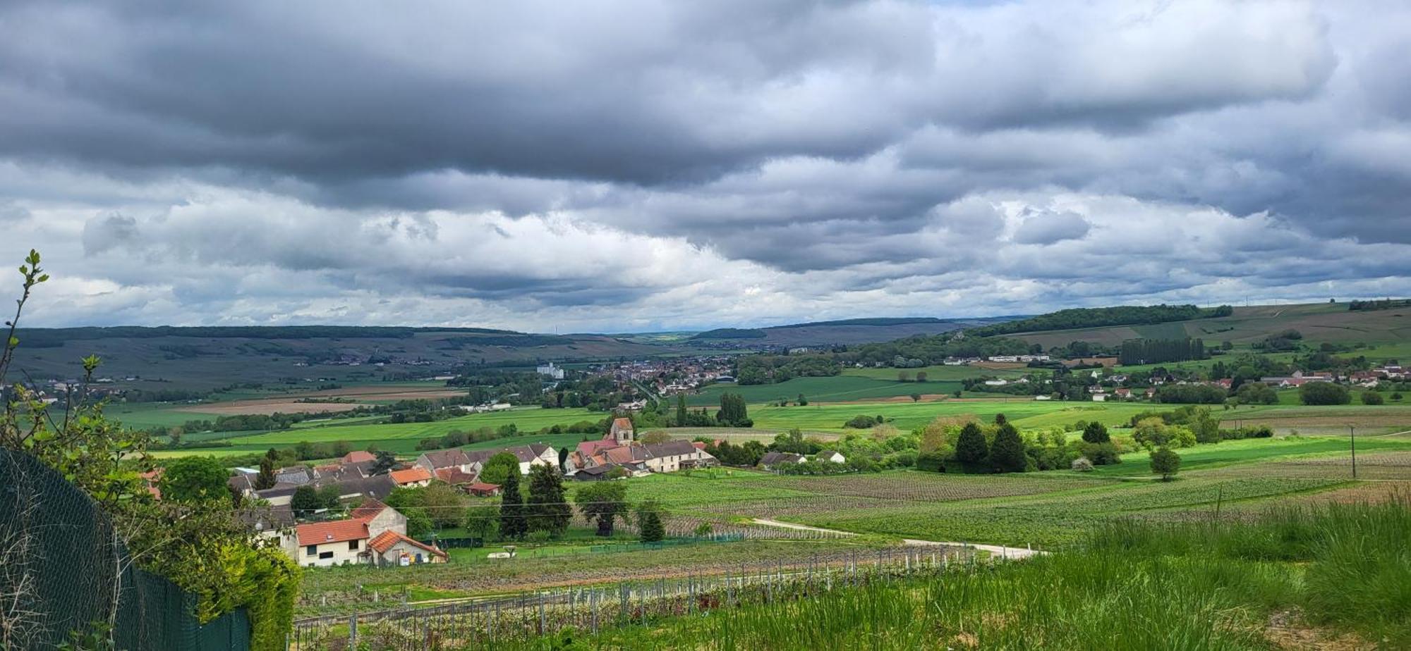 Le Coq De Champagne Villa Dormans Eksteriør billede